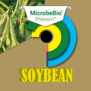 MICROBEBIO PHENOM Soybean
