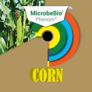 MICROBEBIO PHENOM Corn