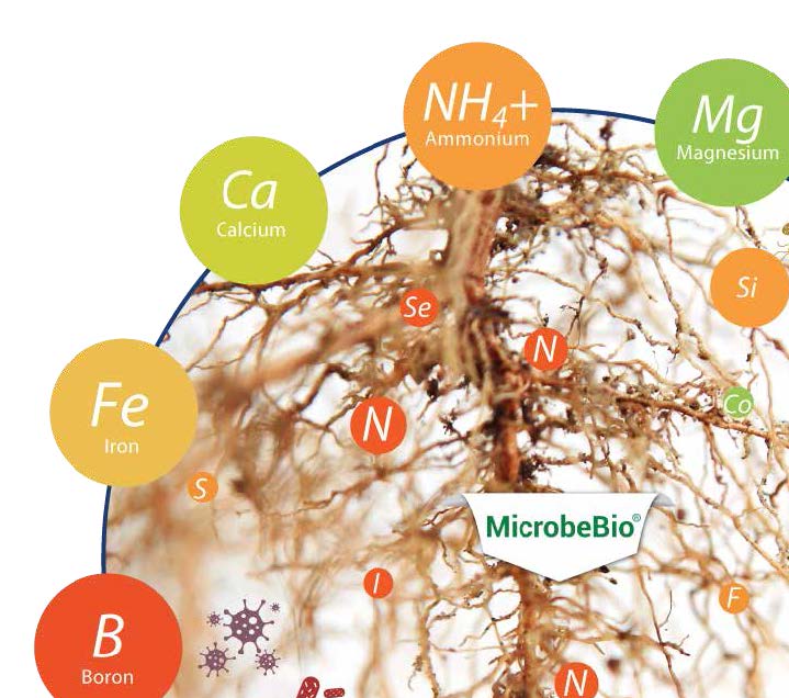 Microbebio Trace Mineral 9