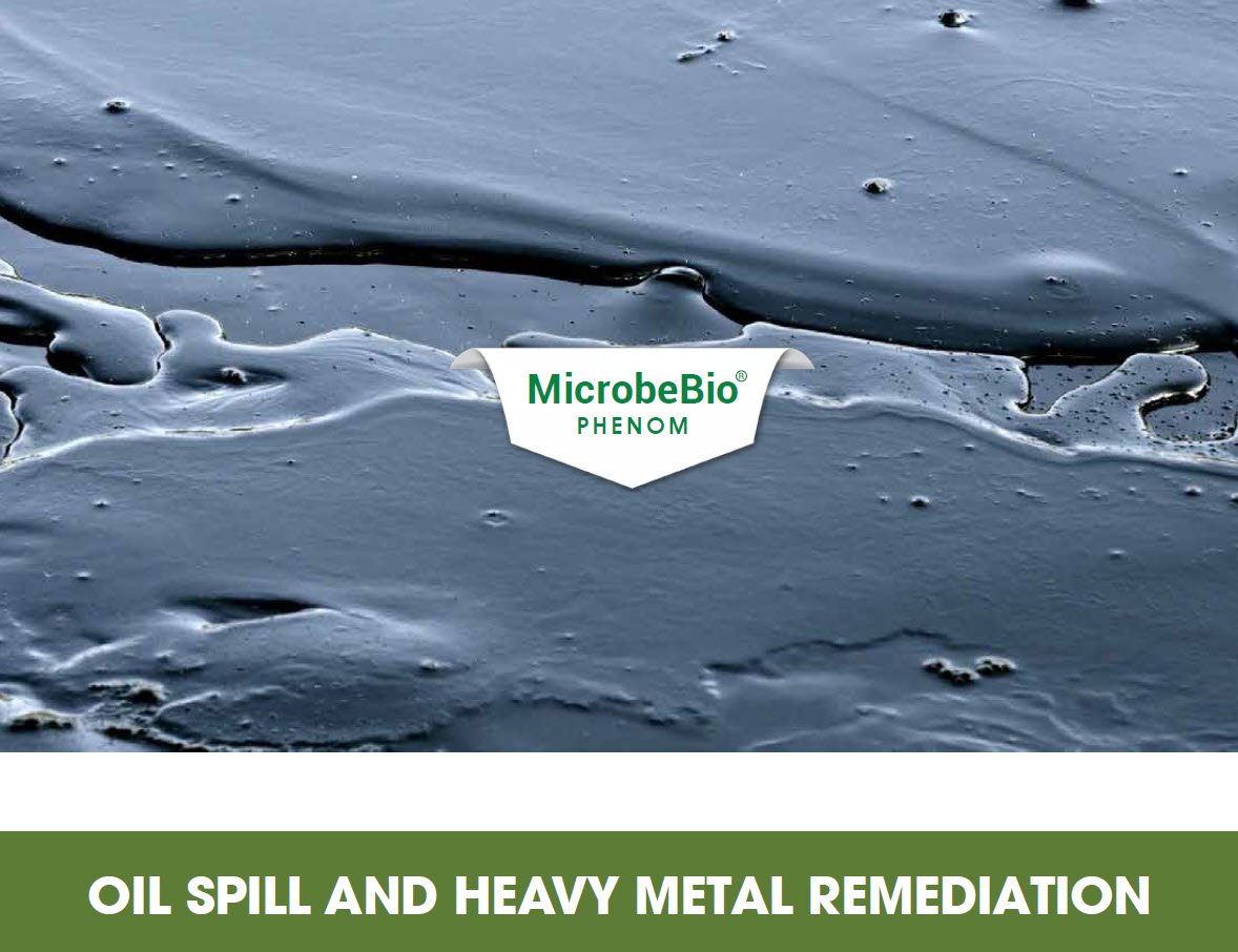 Nature Phenom Oil Spill and Heavy Metal Remediation