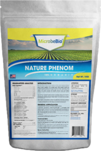 Nature Phenom Microbebio