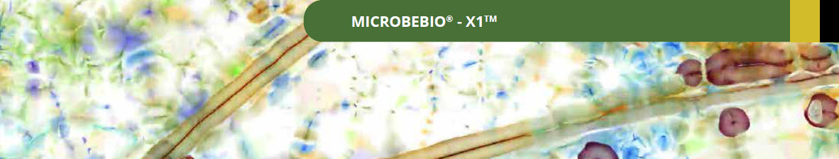 Microbebio Aqua Activator 1