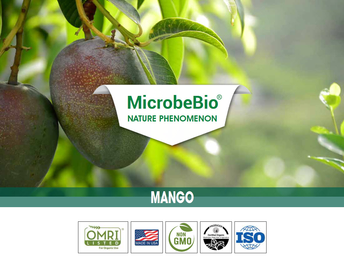Microbebio Nature Phenom Mango