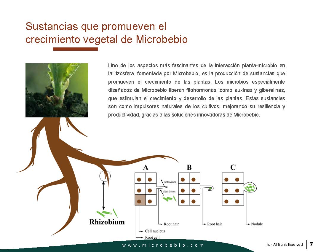 Un héroe silencioso para la agricultura sostenible y la salud humana