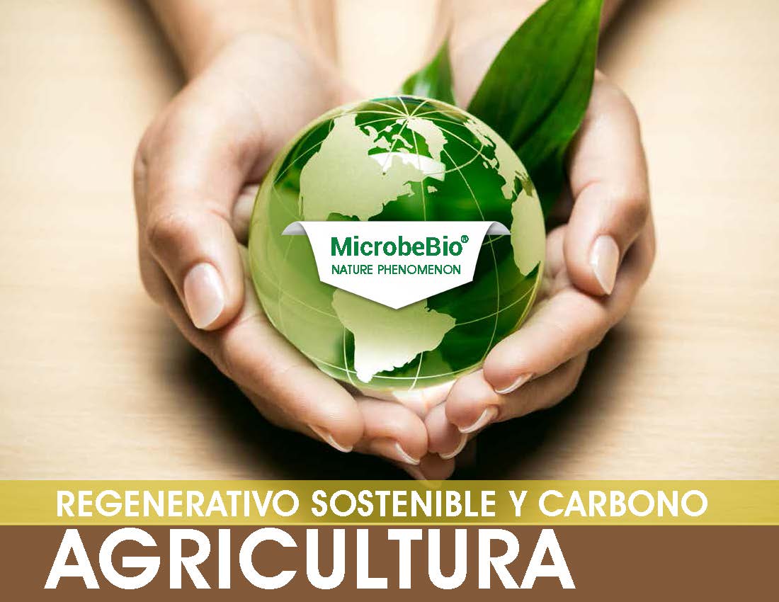 REGENERATIVO SOSTENIBLE Y CARBONO