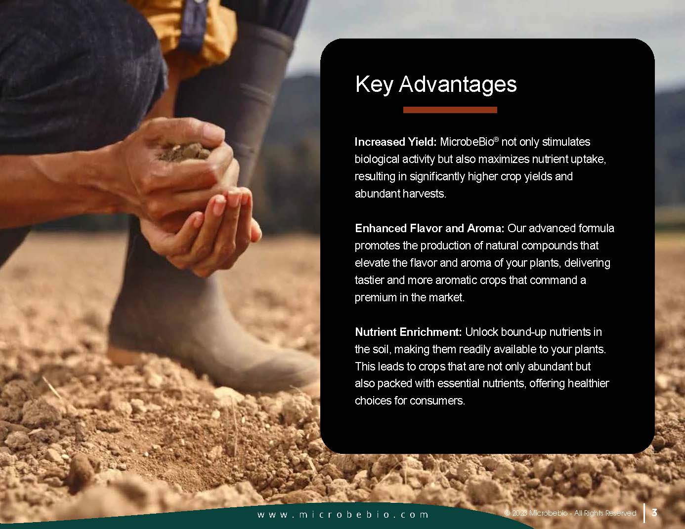 Revolutionizing Agriculture and Soil Remediation