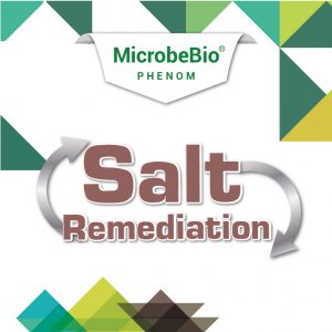 MICROBEBIO PHENOM - SALT REMEDIATION - BANNER