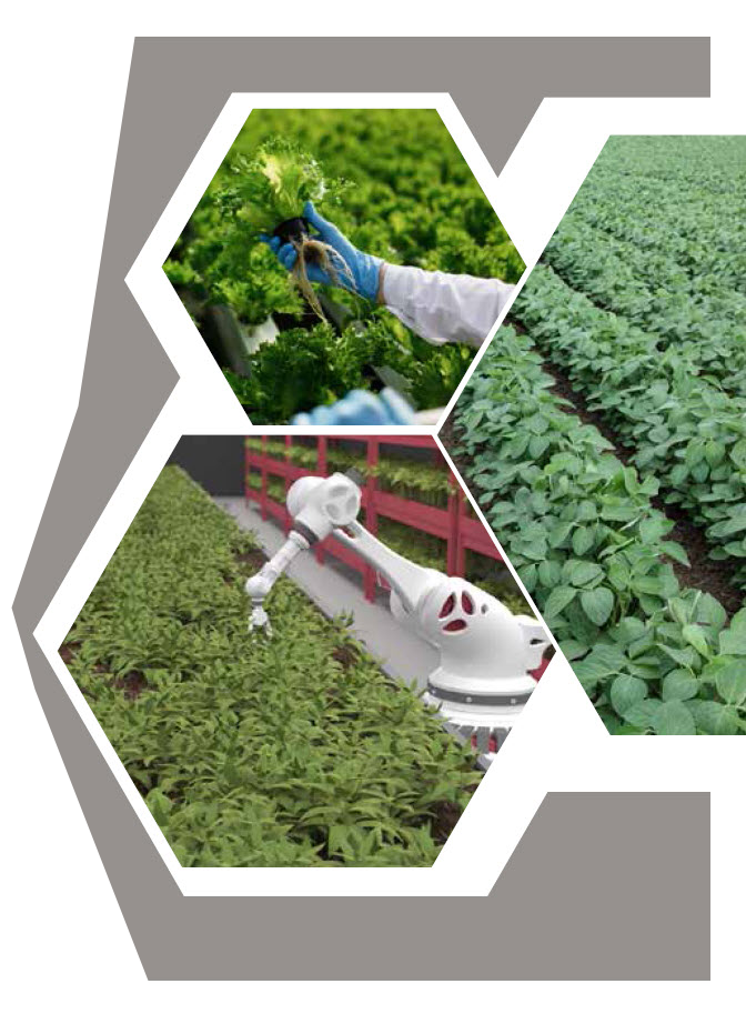 MICROBEBIO - SHAPING THE FUTURE of SUSTAINABLE AGRICULTURE 16