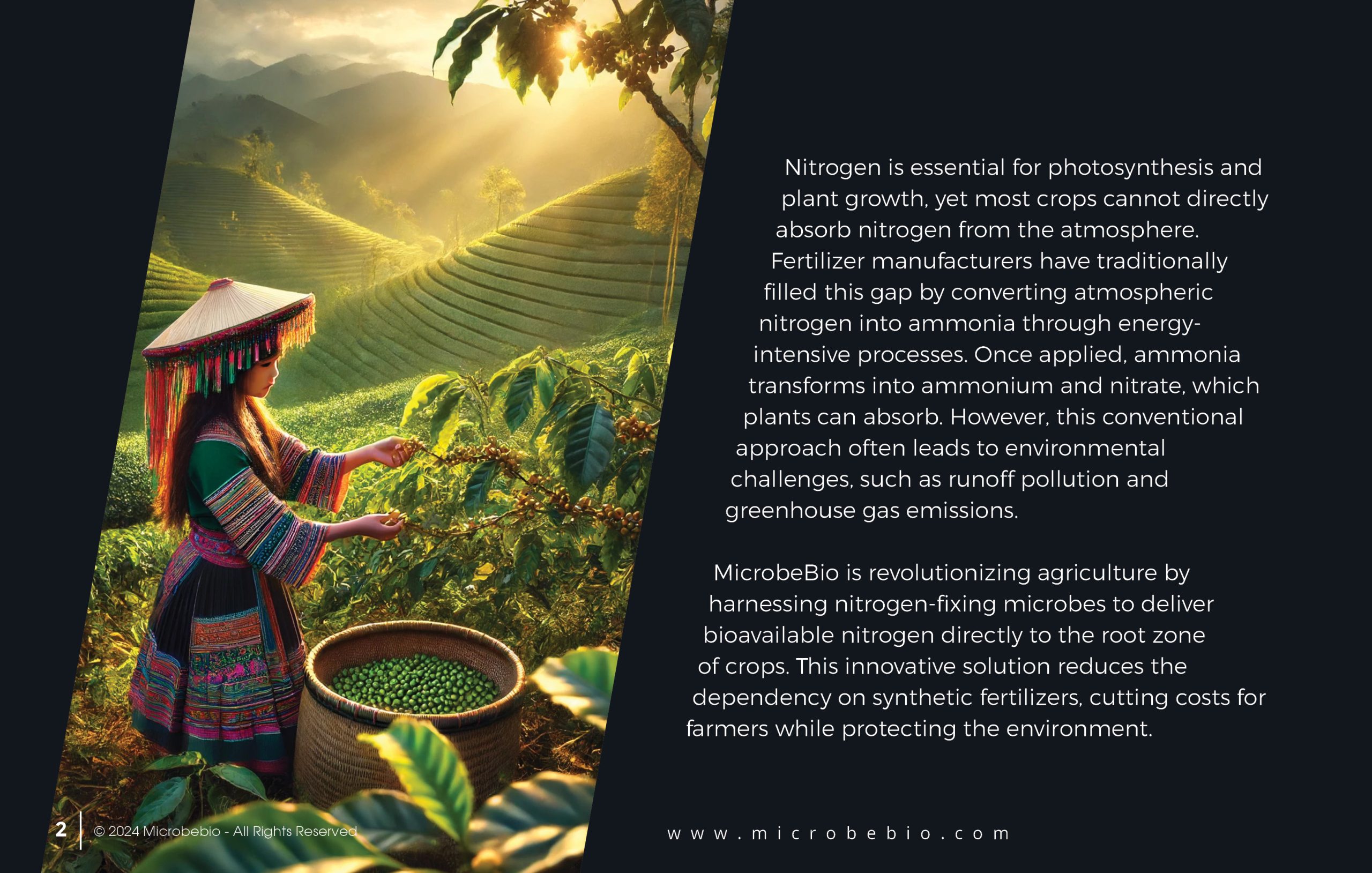 MICROBEBIO - Transforming Agriculture with Nitrogen-Fixing Microbes - 11 21 242