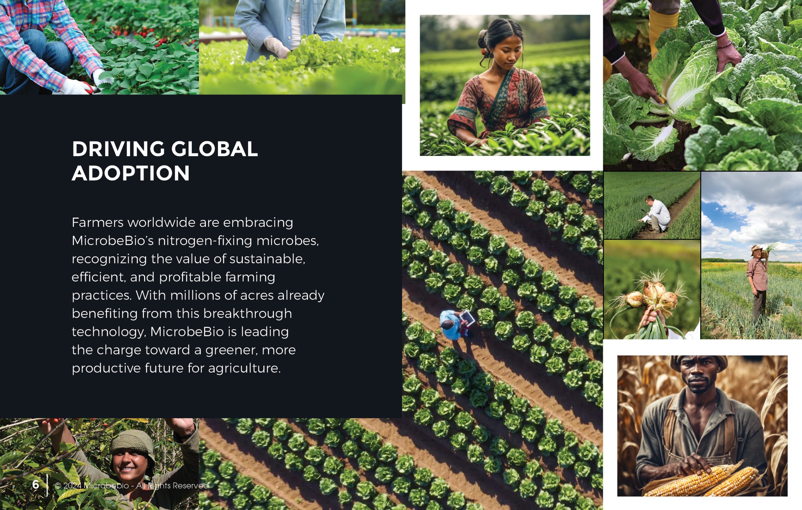 MICROBEBIO - Transforming Agriculture with Nitrogen-Fixing Microbes - 11 21 246