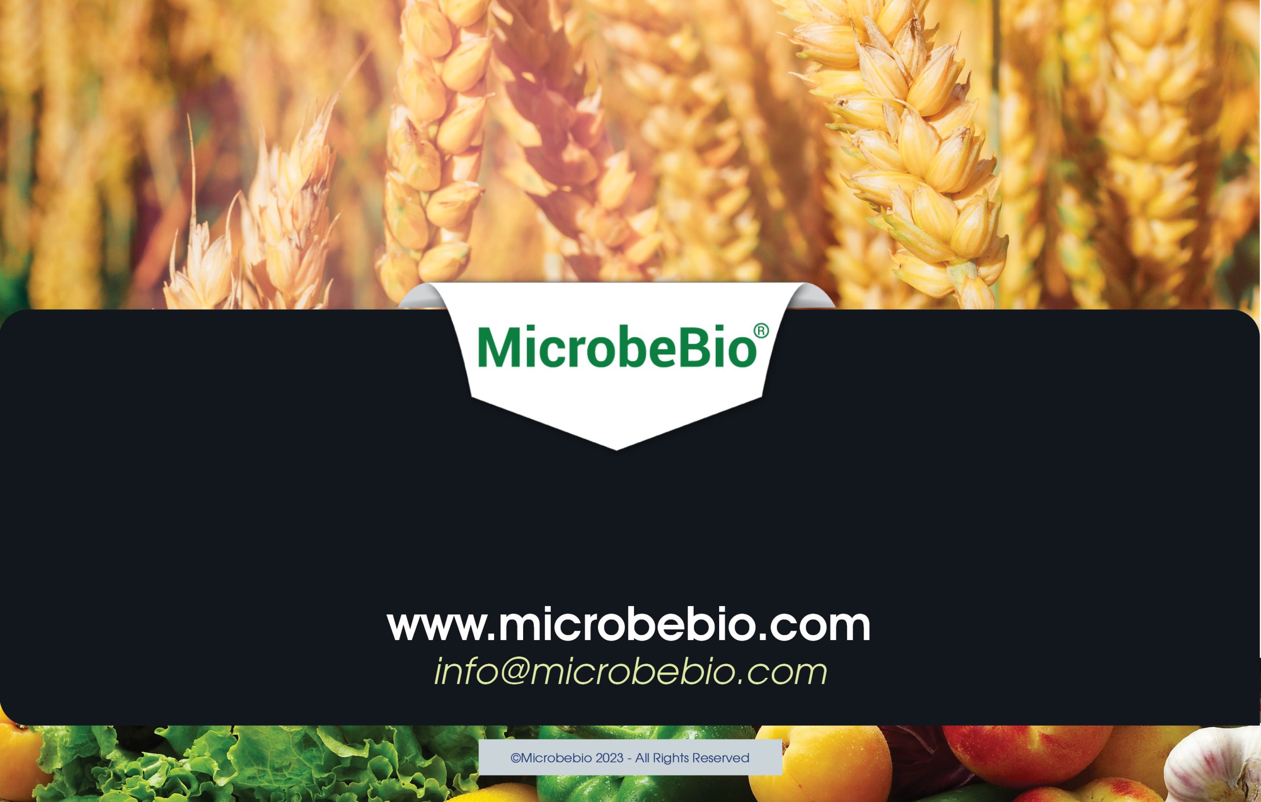 MICROBEBIO - Transforming Agriculture with Nitrogen-Fixing Microbes - 11 21 248