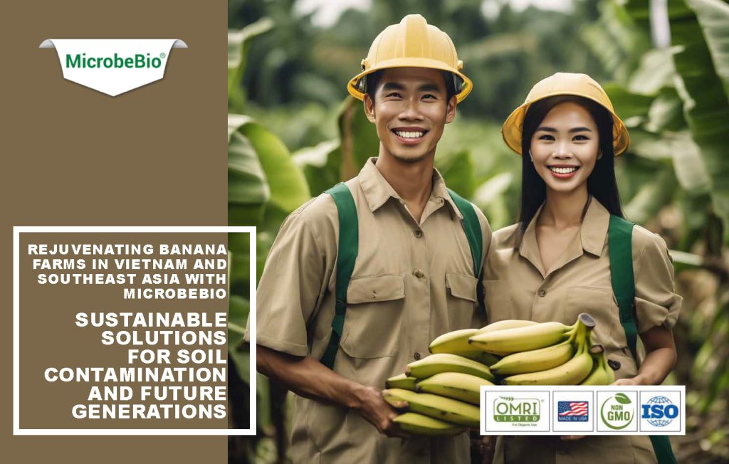 Rejuvenating Banana Farms in Vietnam and Southeast Asia with Microbebio: Sustainable Solutions for Soil Contamination and Future Generations