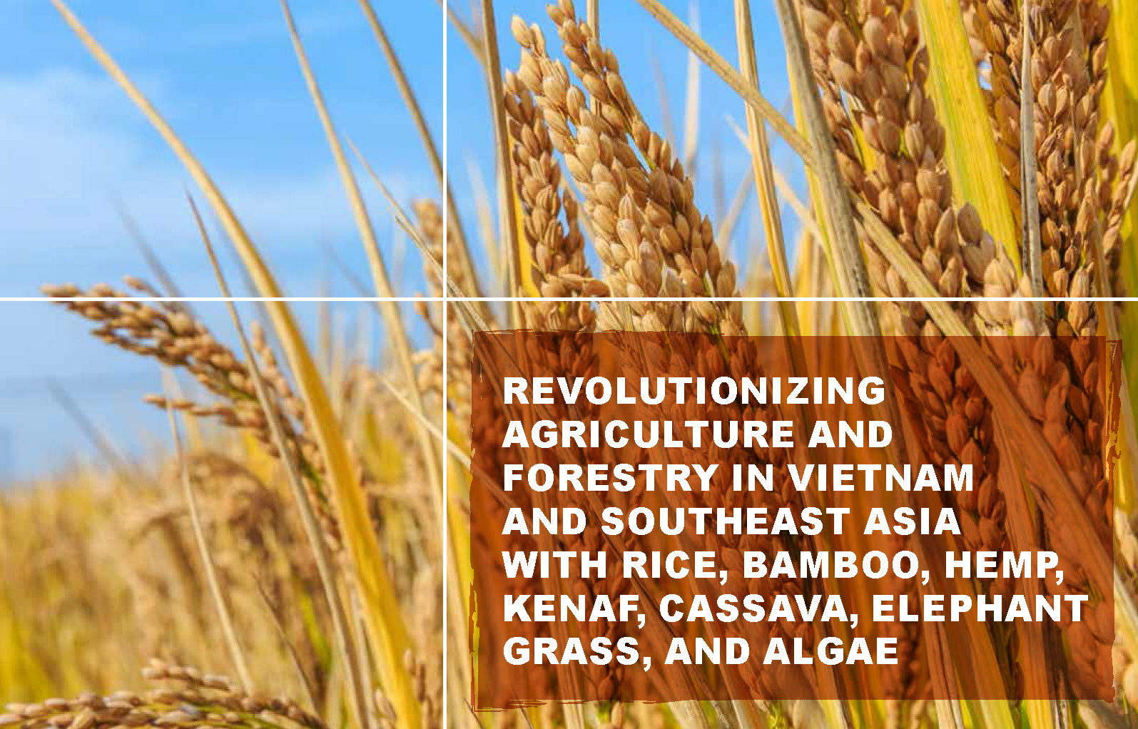 Revolutionizing Agriculture and Forestry in Vietnam and Southeast Asia with Rice_Page_02