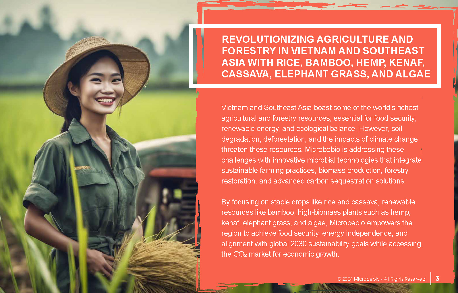 Revolutionizing Agriculture and Forestry in Vietnam and Southeast Asia with Rice_Page_03