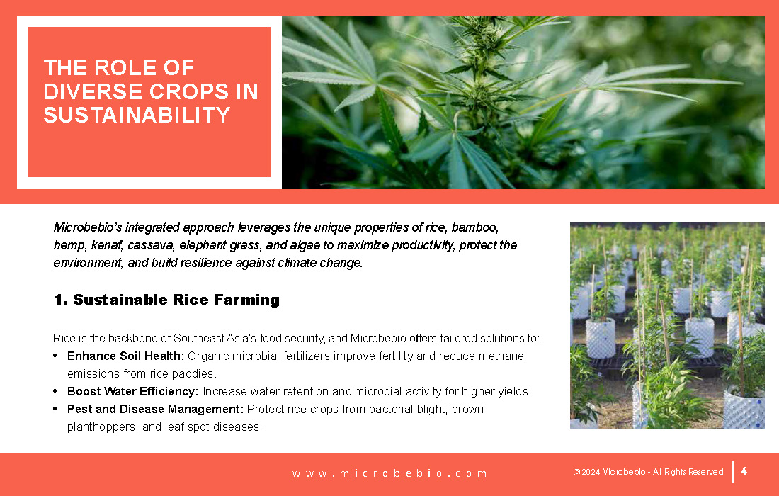 Revolutionizing Agriculture and Forestry in Vietnam and Southeast Asia with Rice_Page_04