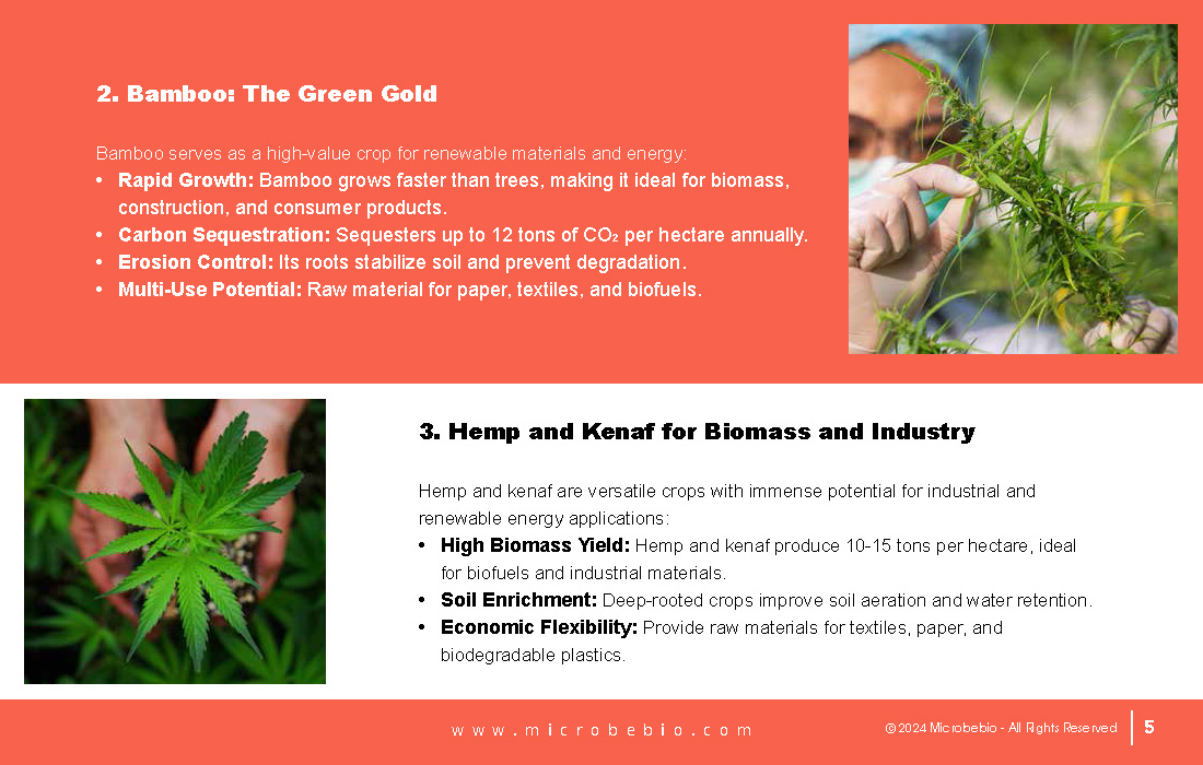 Revolutionizing Agriculture and Forestry in Vietnam and Southeast Asia with Rice_Page_05