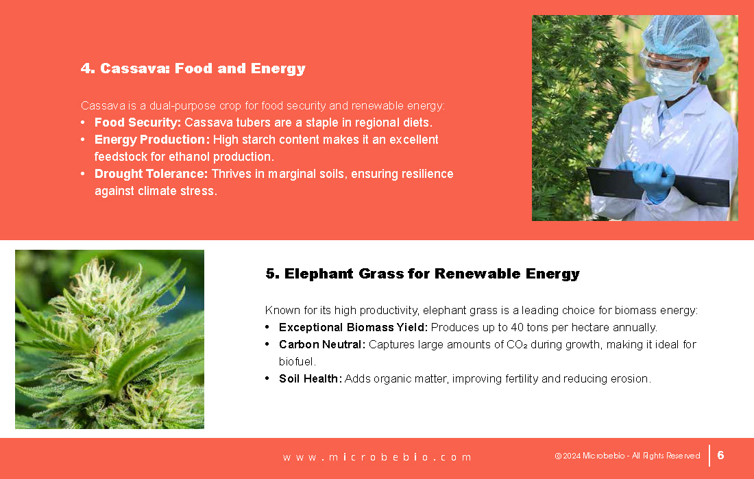 Revolutionizing Agriculture and Forestry in Vietnam and Southeast Asia with Rice_Page_06