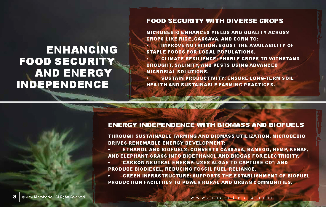 Revolutionizing Agriculture and Forestry in Vietnam and Southeast Asia with Rice_Page_08