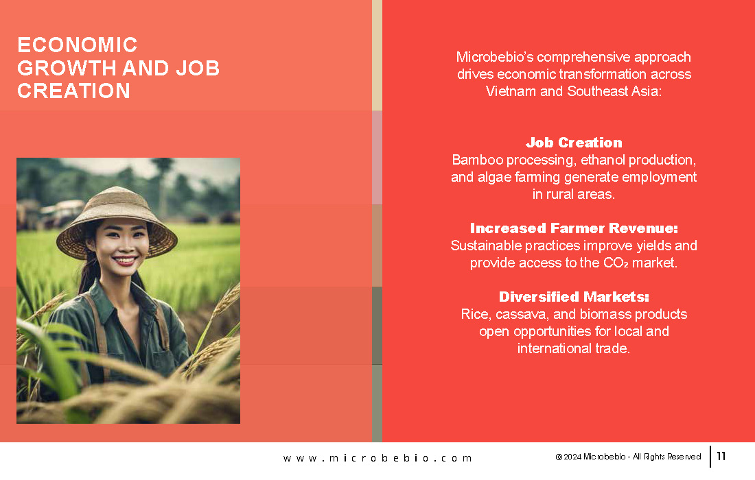 Revolutionizing Agriculture and Forestry in Vietnam and Southeast Asia with Rice_Page_11