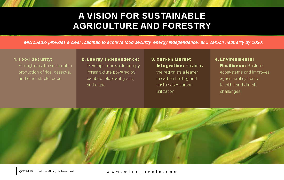 Revolutionizing Agriculture and Forestry in Vietnam and Southeast Asia with Rice_Page_12