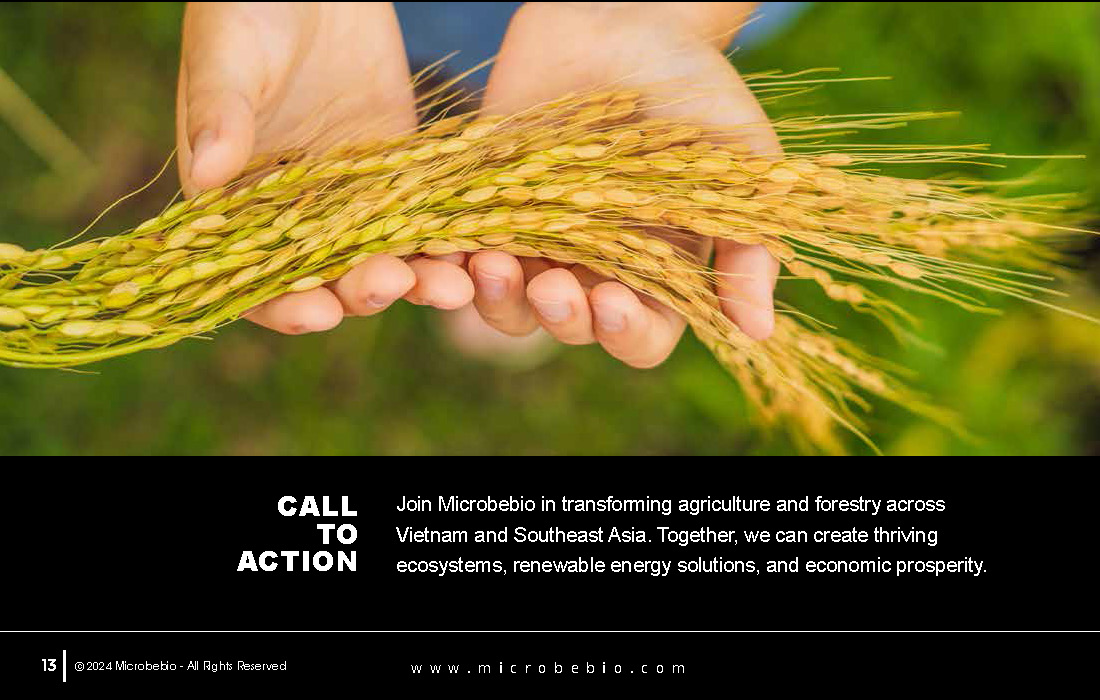 Revolutionizing Agriculture and Forestry in Vietnam and Southeast Asia with Rice_Page_13