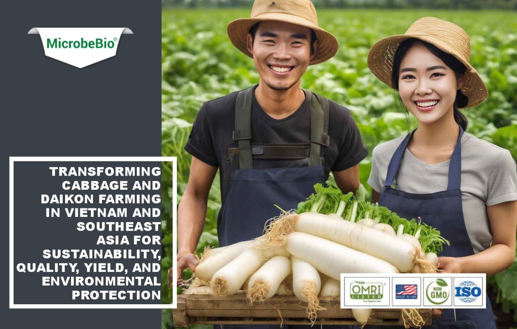 Microbebio: Transforming Cabbage and Daikon Farming in Vietnam and Southeast Asia for Sustainability, Quality, Yield, and Environmental Protection