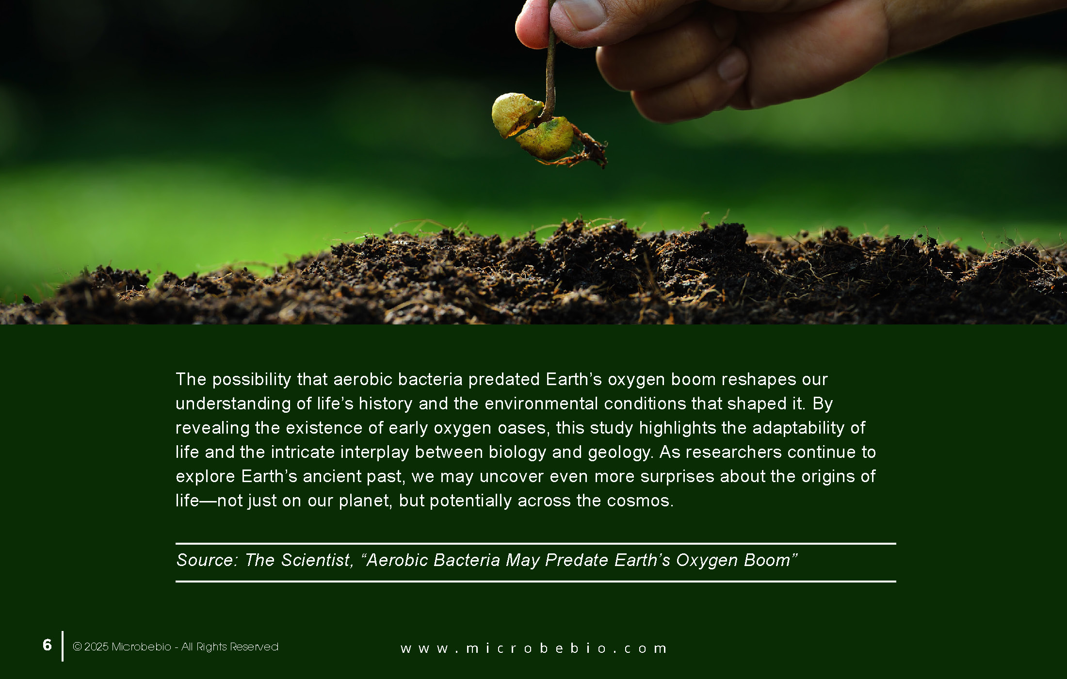 Aerobic Bacteria May Predate Earth's Oxygen Boom_Page_6