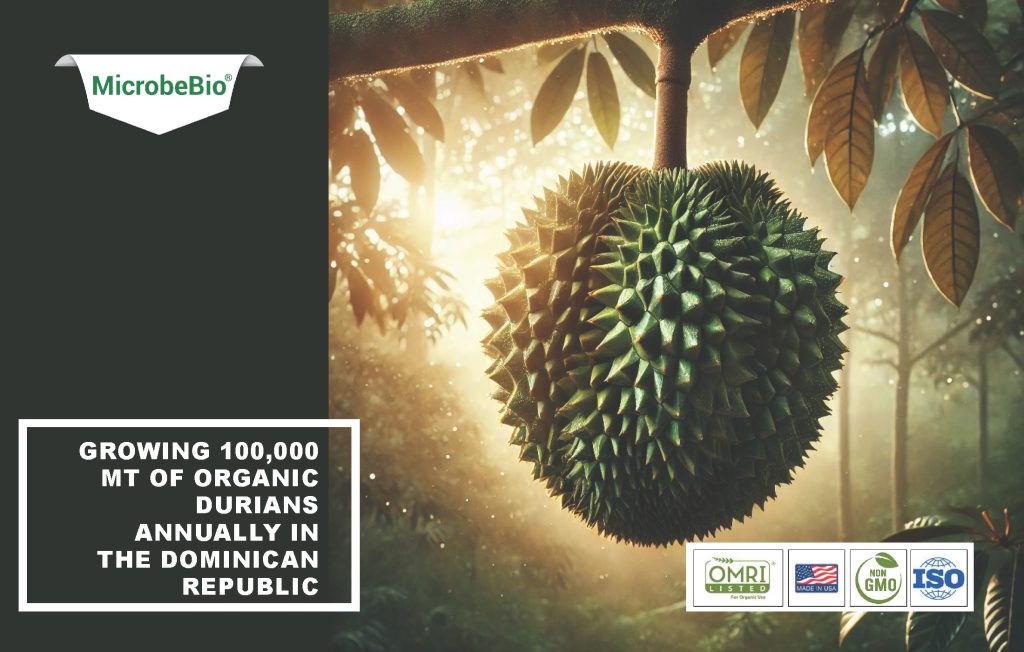 Proposal for Microbebio: Growing 50,000 MT of Durians Annually in the Dominican Republic