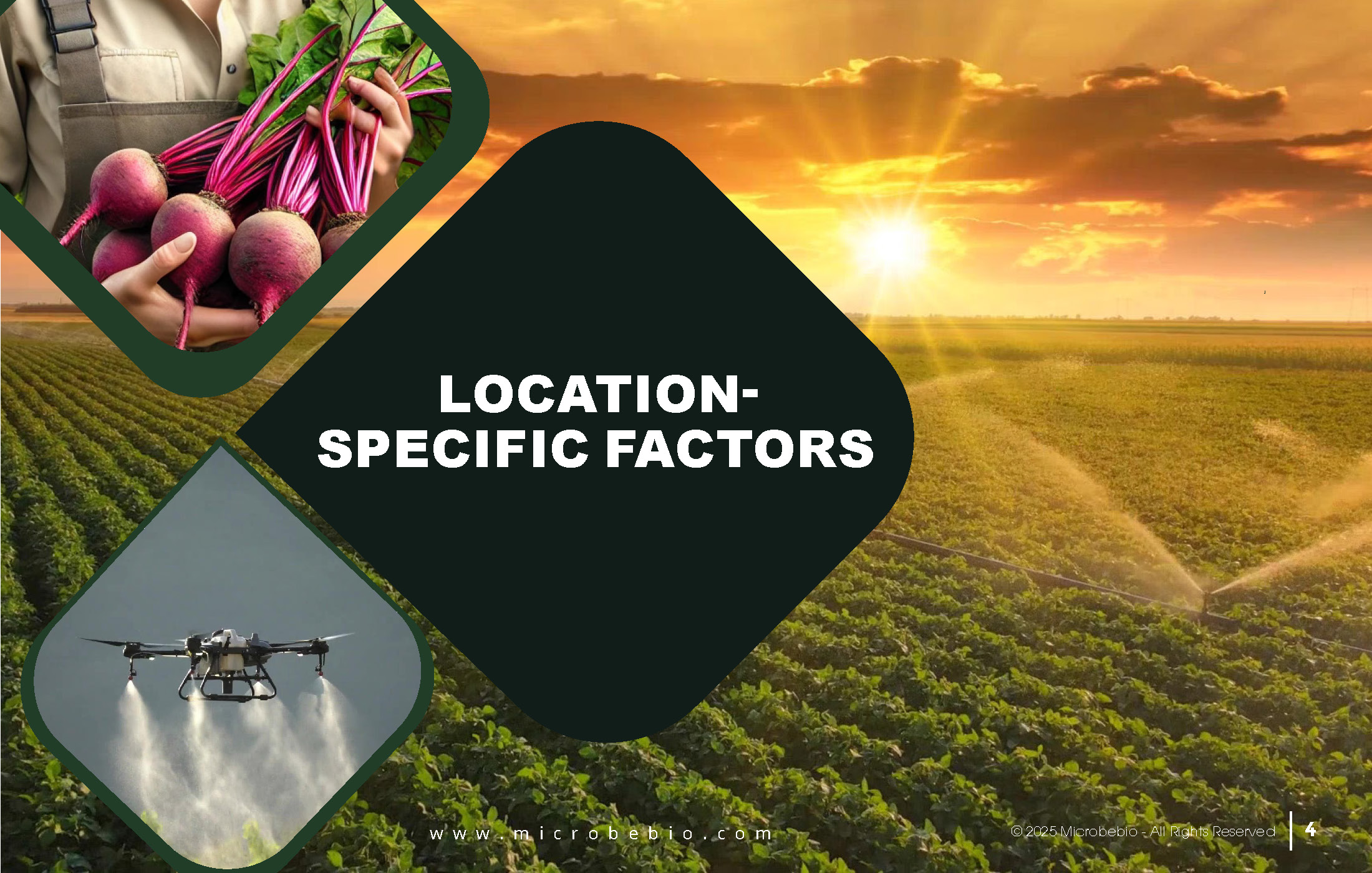 ROI Comparison-Microbebio Organic Fertilizer Factory in Dominican Republic vs-Houston-Texas_Page_04