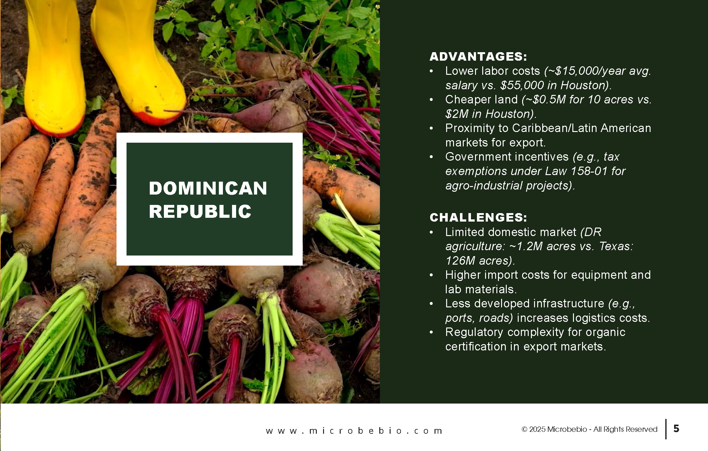 ROI Comparison-Microbebio Organic Fertilizer Factory in Dominican Republic vs-Houston-Texas_Page_05