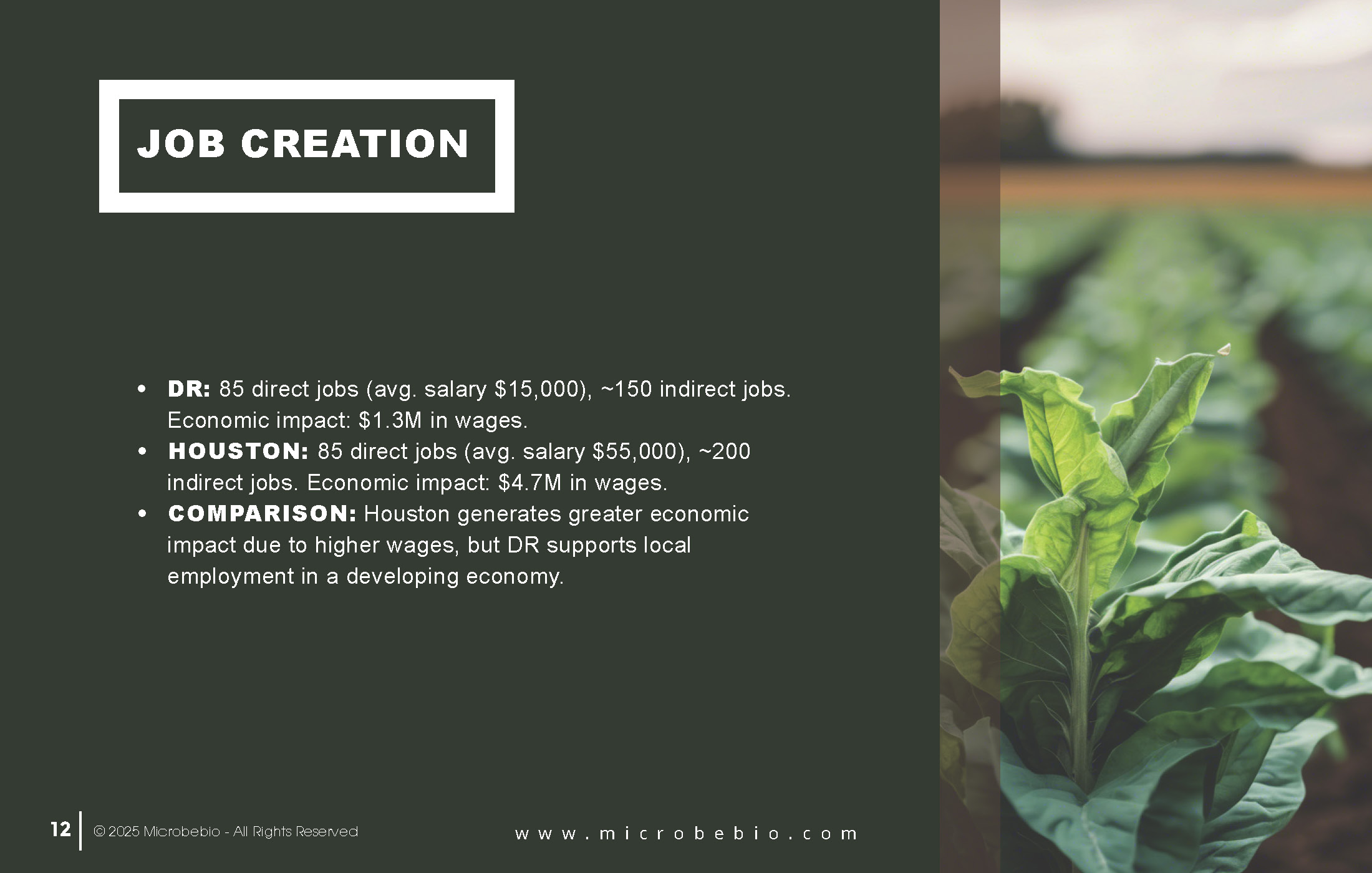 ROI Comparison-Microbebio Organic Fertilizer Factory in Dominican Republic vs-Houston-Texas_Page_12