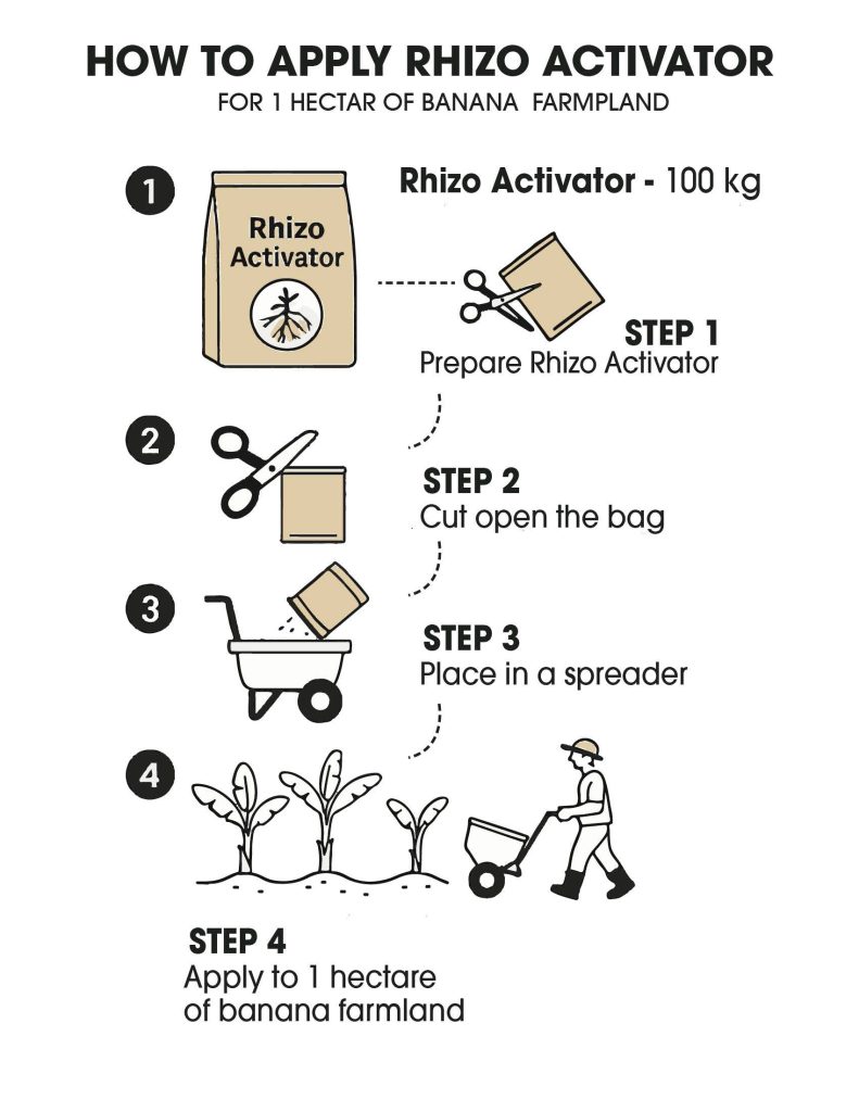 How To Apply Microbebio For Banana