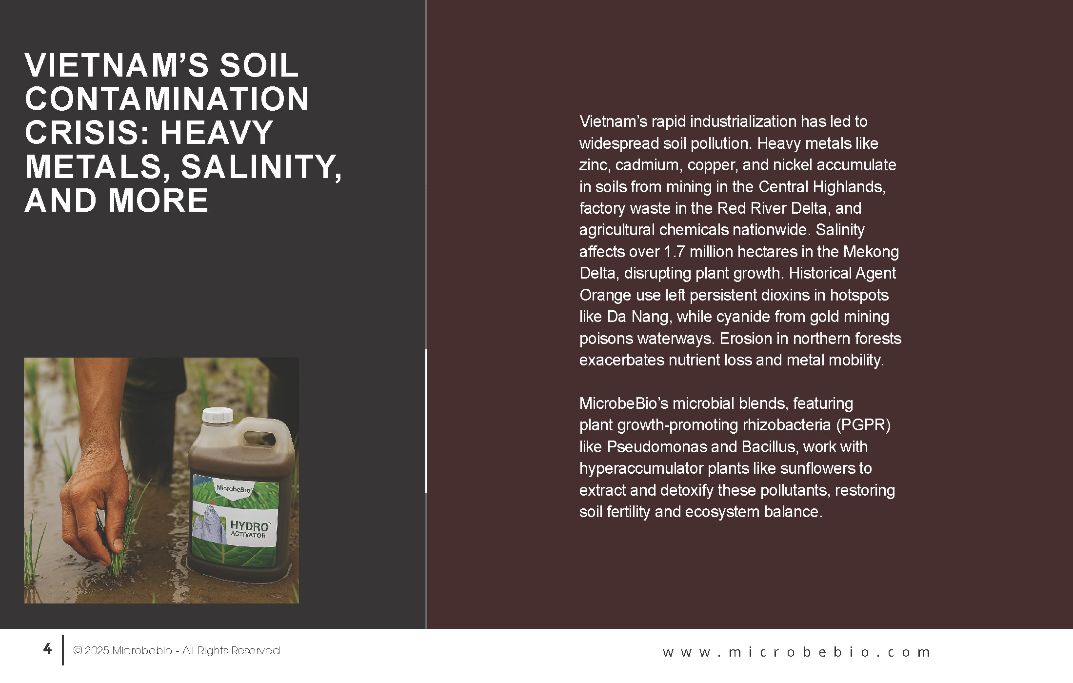 Reviving Vietnam- Forests with MicrobeBio-Sustainable Soil Solutions for Heavy Metal Cleanup and Bioremediation_Page_04
