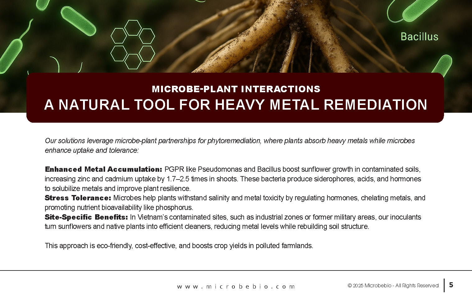 Reviving Vietnam- Forests with MicrobeBio-Sustainable Soil Solutions for Heavy Metal Cleanup and Bioremediation_Page_05