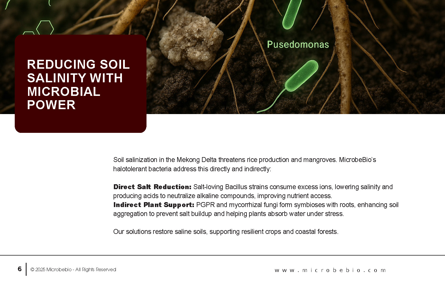 Reviving Vietnam- Forests with MicrobeBio-Sustainable Soil Solutions for Heavy Metal Cleanup and Bioremediation_Page_06