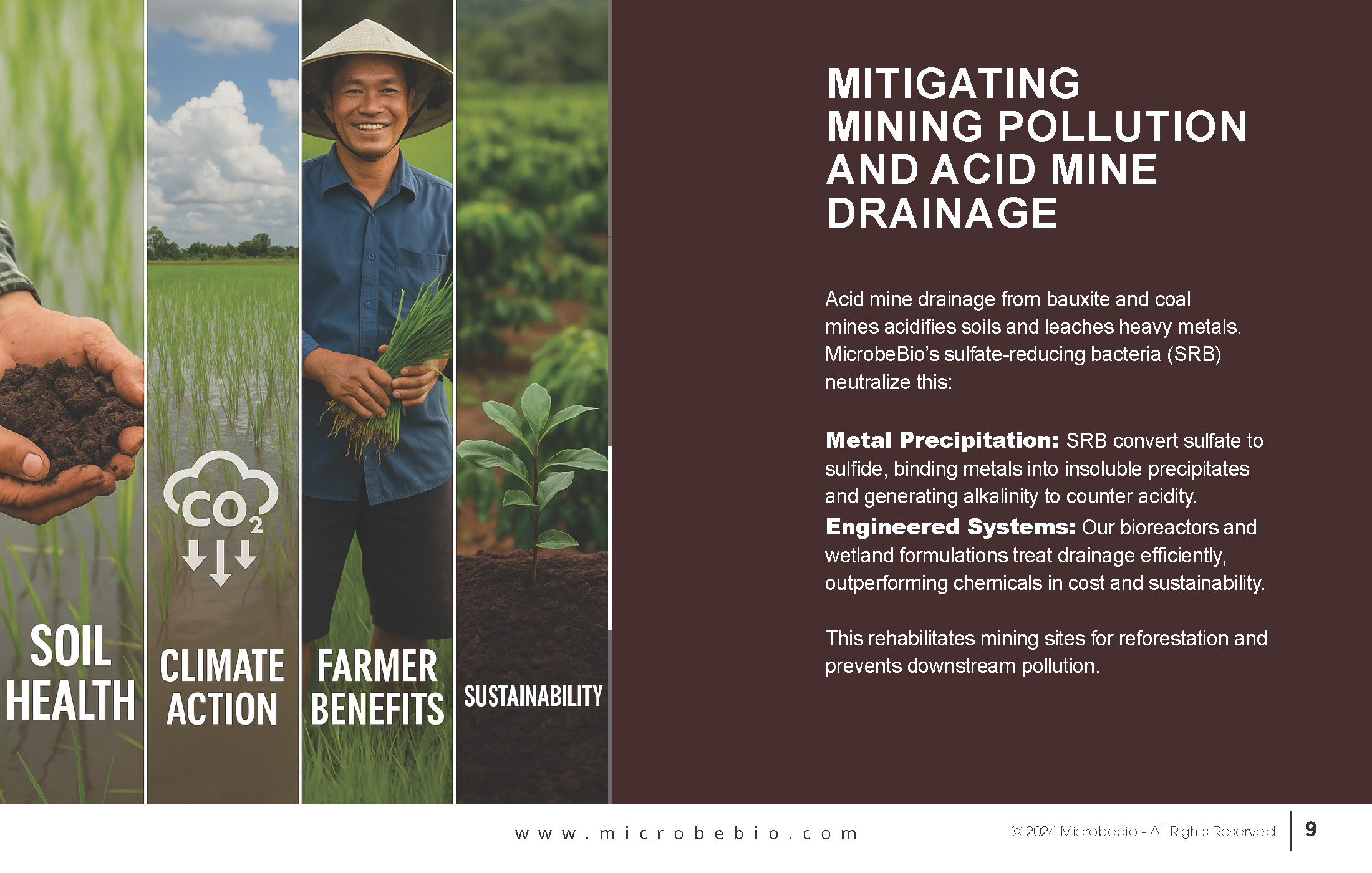 Reviving Vietnam- Forests with MicrobeBio-Sustainable Soil Solutions for Heavy Metal Cleanup and Bioremediation_Page_09