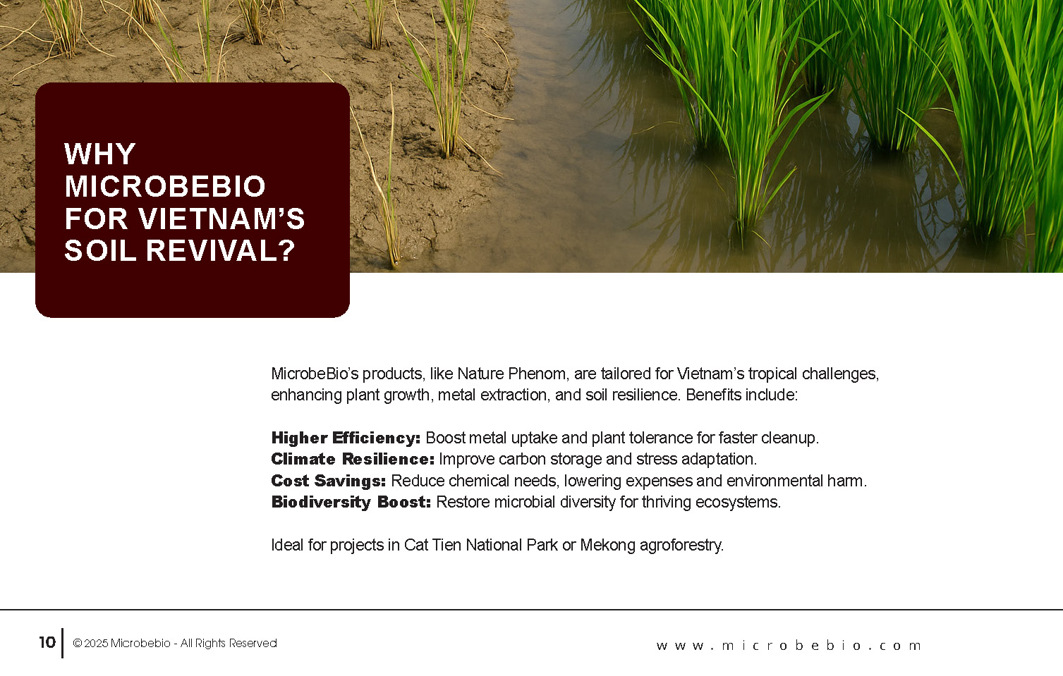 Reviving Vietnam- Forests with MicrobeBio-Sustainable Soil Solutions for Heavy Metal Cleanup and Bioremediation_Page_10