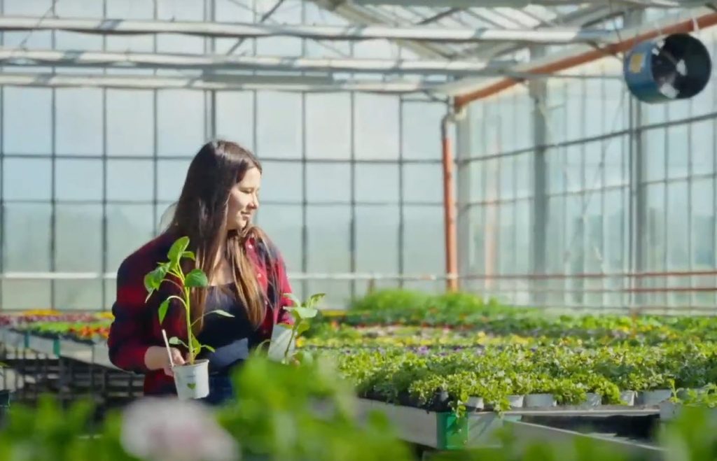 Unlocking the Future of Farming: How MicrobeBio’s Microbial Solutions Drive Sustainable Agriculture