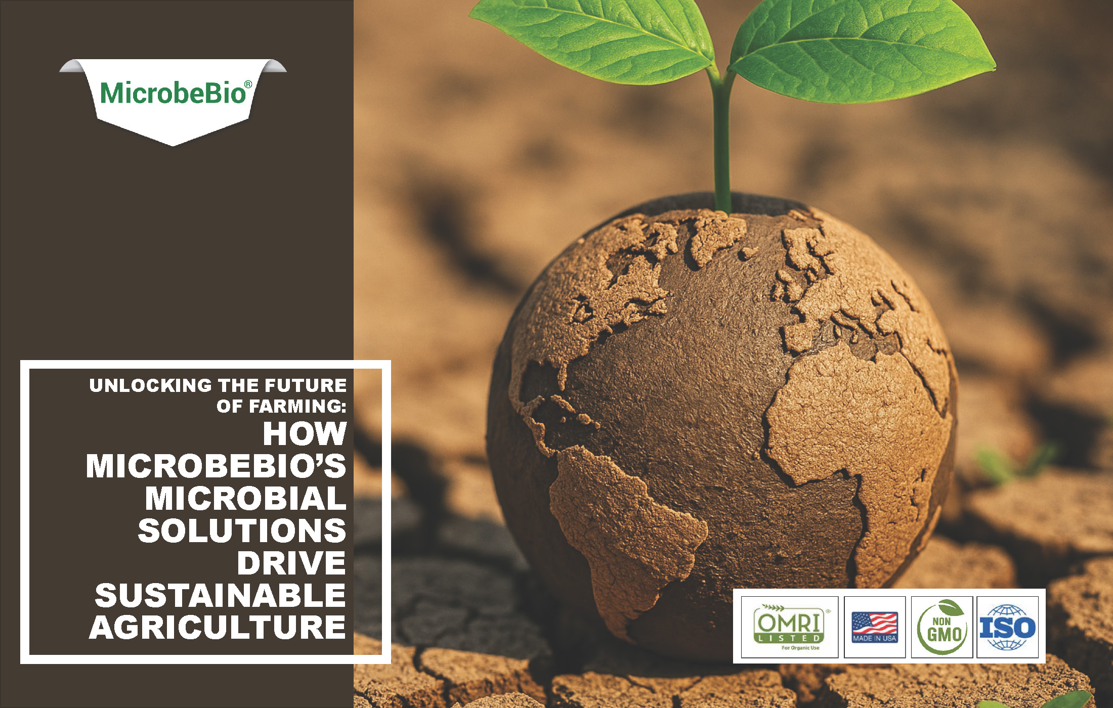 Unlocking the Future of Farming-How MicrobeBio-Microbial Solutions Drive Sustainable Agriculture