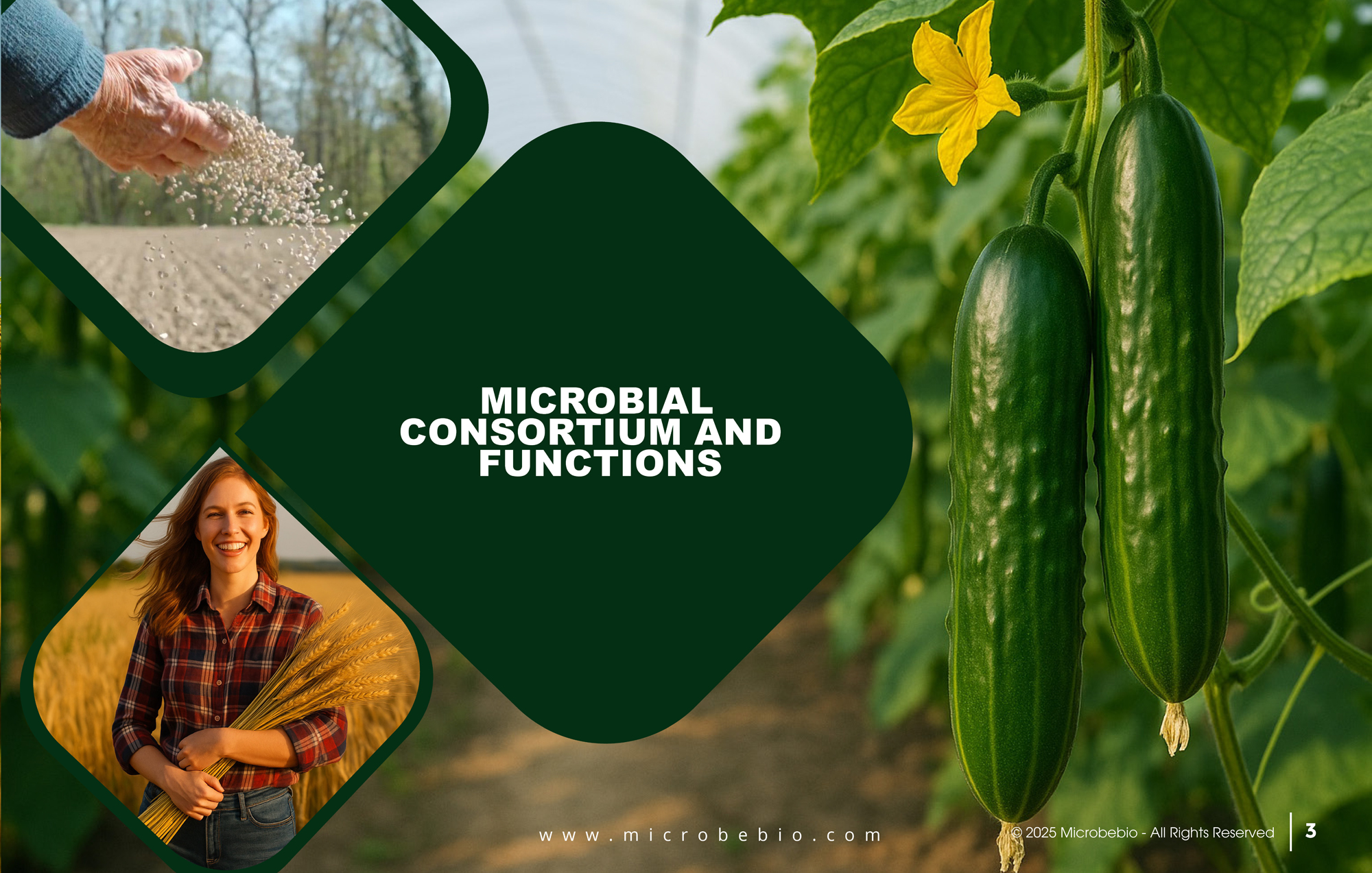 MicrobeBio X5-Advanced Biological Defense Against Plant Pathogens and Fungal Diseases_Page_03