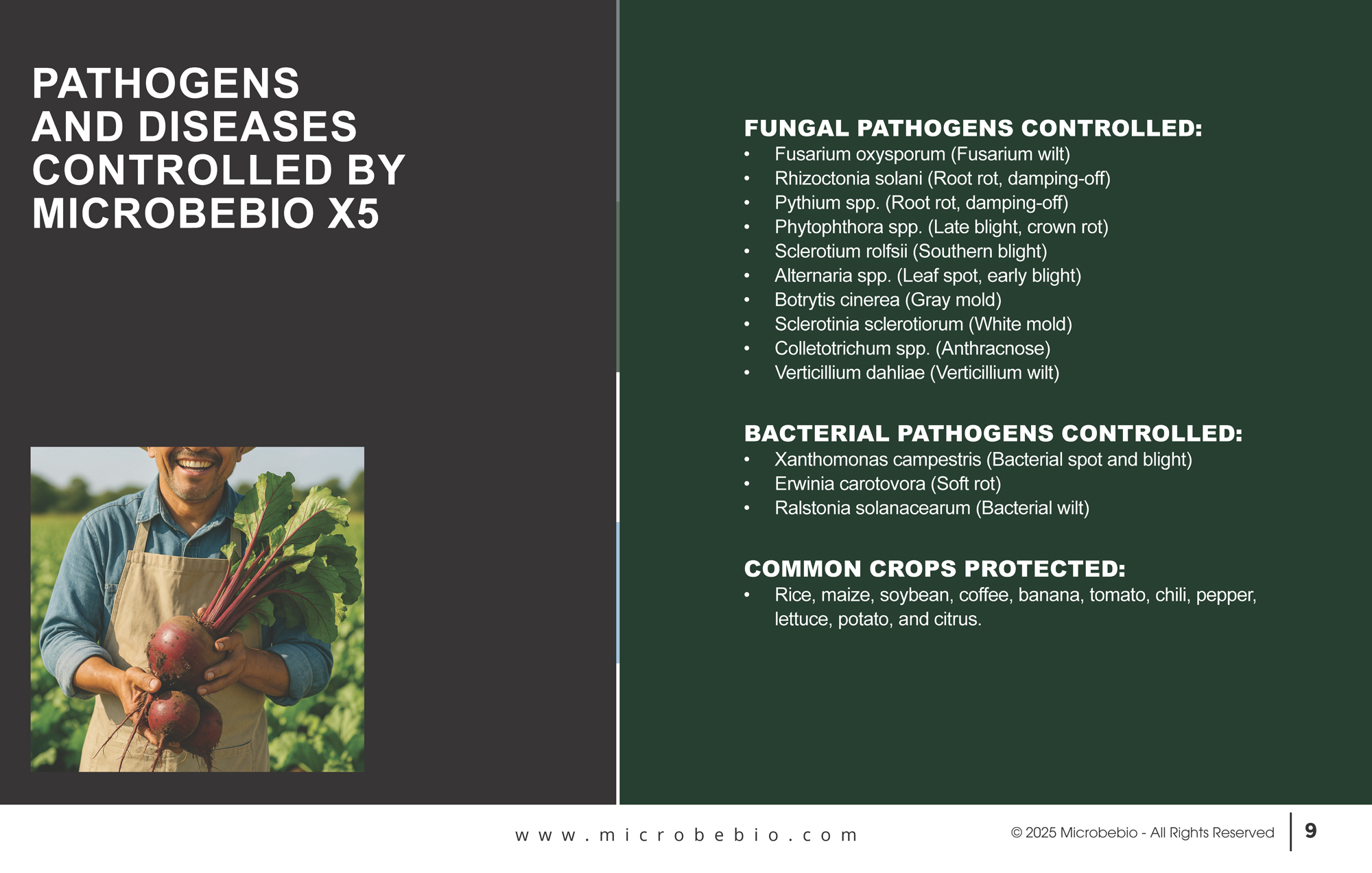 MicrobeBio X5-Advanced Biological Defense Against Plant Pathogens and Fungal Diseases_Page_09