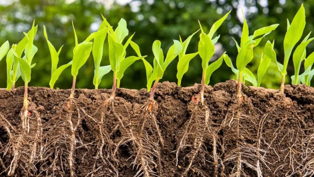 Microbebio®: Solving The Hidden Crisis In Agriculture Water Quality