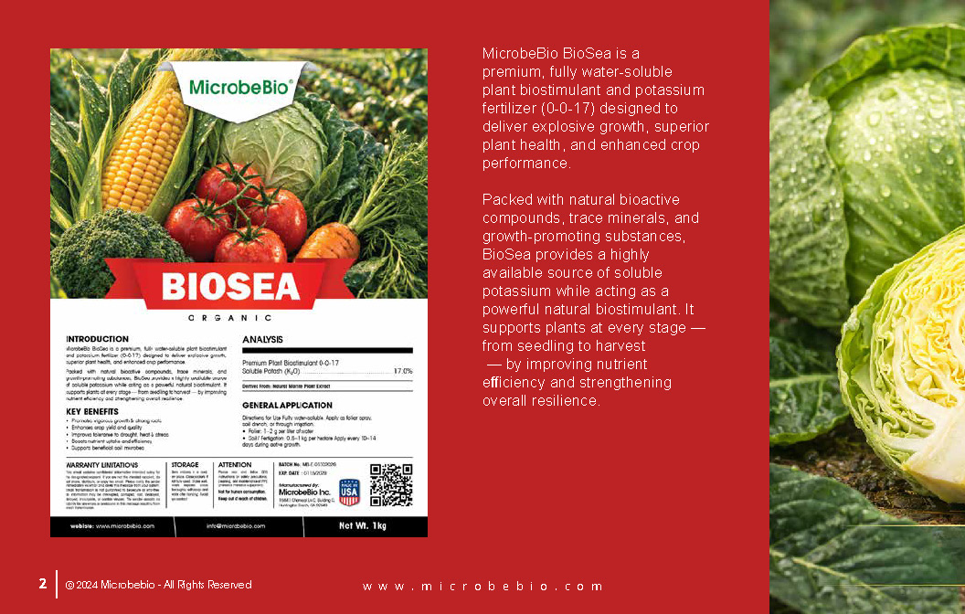MicrobeBio BioSea is a premium, fully water-soluble plant biostimulant and potassium fertilizer (0-0-17) designed to deliver explosive growth, superior plant health, and enhanced crop performance. Packed with natural bioactive compounds, trace minerals, and growth-promoting substances, BioSea provides a highly available source of soluble potassium while acting as a powerful natural biostimulant. It supports plants at every stage from seedling to harvest by improving nutrient efficiency and strengthening overall resilience.