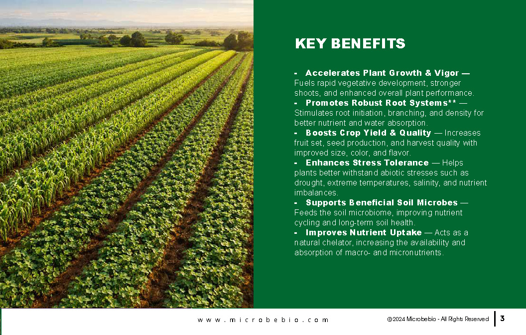 MicrobeBio Octane 16-0-0 is a premium, plant-derived organic nitrogen fertilizer that delivers a powerful 16% water-soluble nitrogen in the form of free amino acids and peptides. This advanced formula provides plants with readily available nitrogen that is absorbed quickly and efficiently through both roots and foliage, bypassing the energy-intensive conversion steps required by traditional nitrogen sources. The result is faster uptake, reduced nutrient loss, and superior nitrogen use efficiency.
