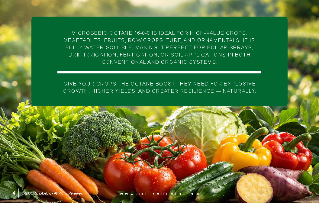 MicrobeBio Octane 16-0-0 is a premium, plant-derived organic nitrogen fertilizer that delivers a powerful 16% water-soluble nitrogen in the form of free amino acids and peptides. This advanced formula provides plants with readily available nitrogen that is absorbed quickly and efficiently through both roots and foliage, bypassing the energy-intensive conversion steps required by traditional nitrogen sources. The result is faster uptake, reduced nutrient loss, and superior nitrogen use efficiency.