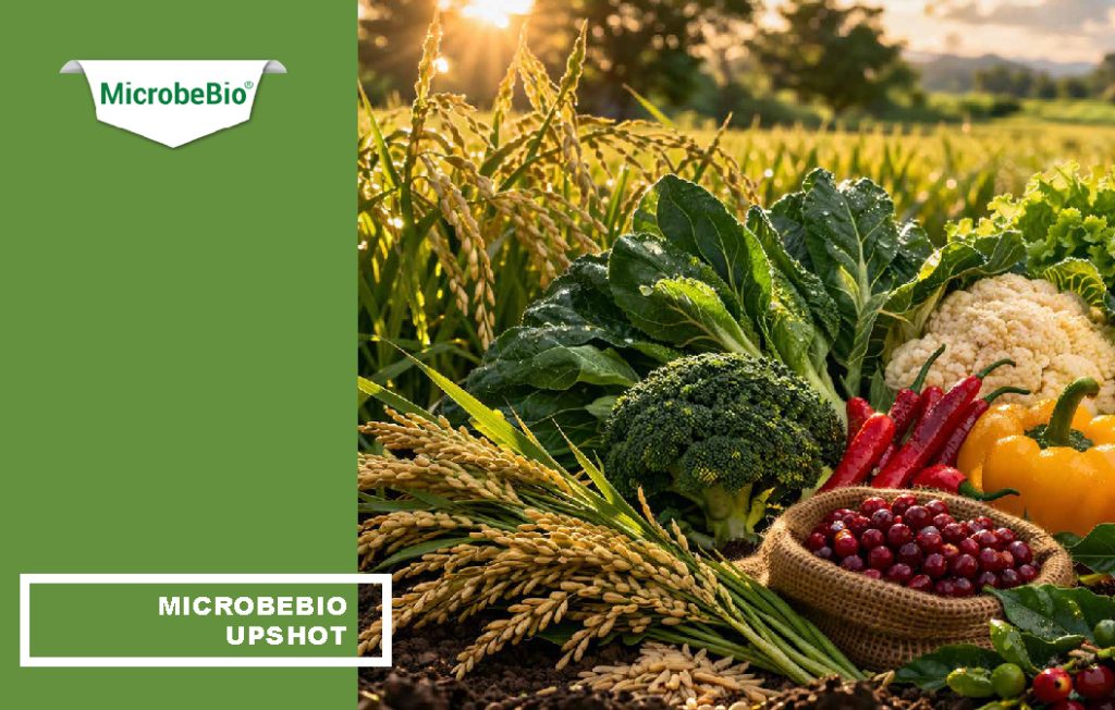 MicrobeBio Upshot is an advanced, balanced organic fertilizer (7-7-7) that delivers complete plant nutrition in a highly efficient, water-soluble form. Formulated with premium plant-derived nutrients, amino acids, peptides, vitamins, and natural biostimulants, it provides a powerful 1:1:1 ratio of nitrogen, phosphorus, and potassium along with trace minerals and bioactive compounds. This all-in-one formula supports every stage of plant development from vigorous vegetative growth and strong root systems to abundant flowering, fruiting, and improved crop quality. Its unique composition allows for rapid absorption through both roots and foliage, delivering immediate results while building long-term soil health.
