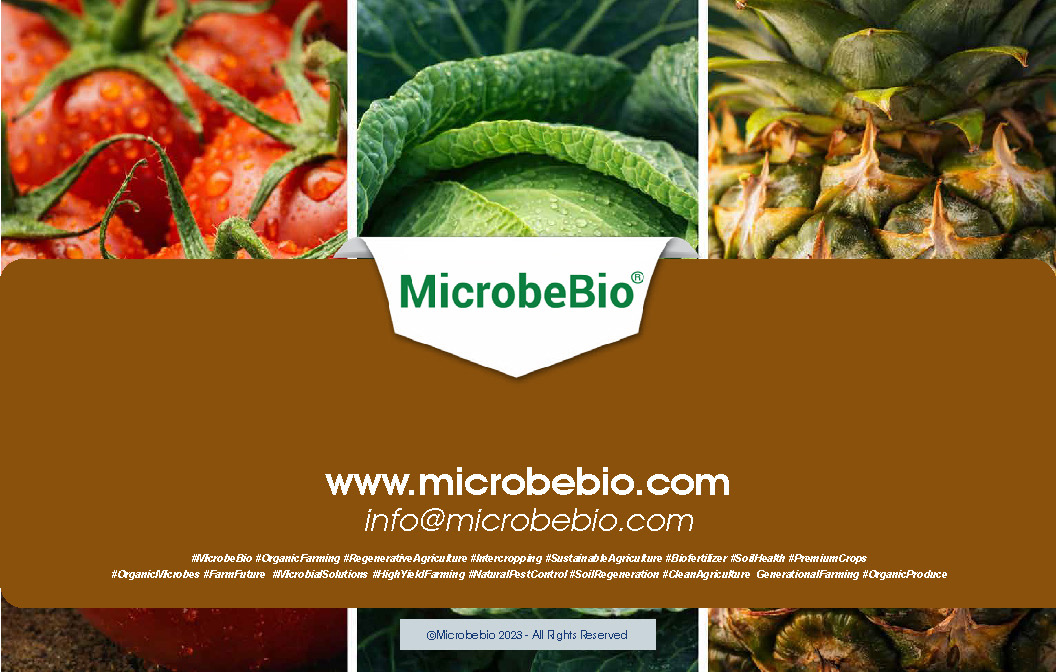 MicrobeBio Vigor Boost is a powerful, organic soil amendment and plant vigor enhancer formulated with water-soluble humic acid (1-0- 0.3 NPK) and premium soymeal. This unique blend delivers a gentle nitrogen boost while significantly improving soil health and plant performance.