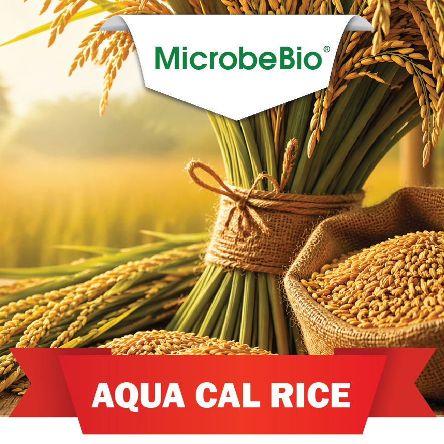 MICROBEBIO AQUA CAL GRANULAR™ Bio-Activated Calcium for Stronger Soil, Cleaner Fields, and Higher Rice Yields