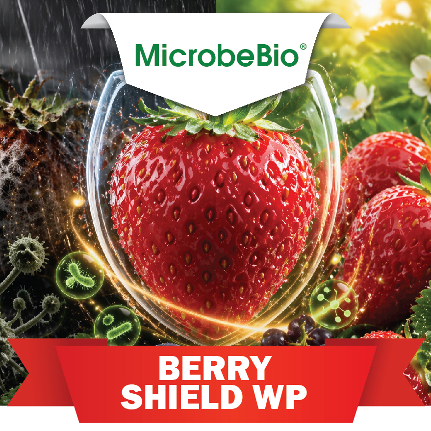 Scientific Mechanism of Action Microbebio Berry Shield WP integrates microbial, mineral, and bio stimulant technologies into a single, synergistic formulation.